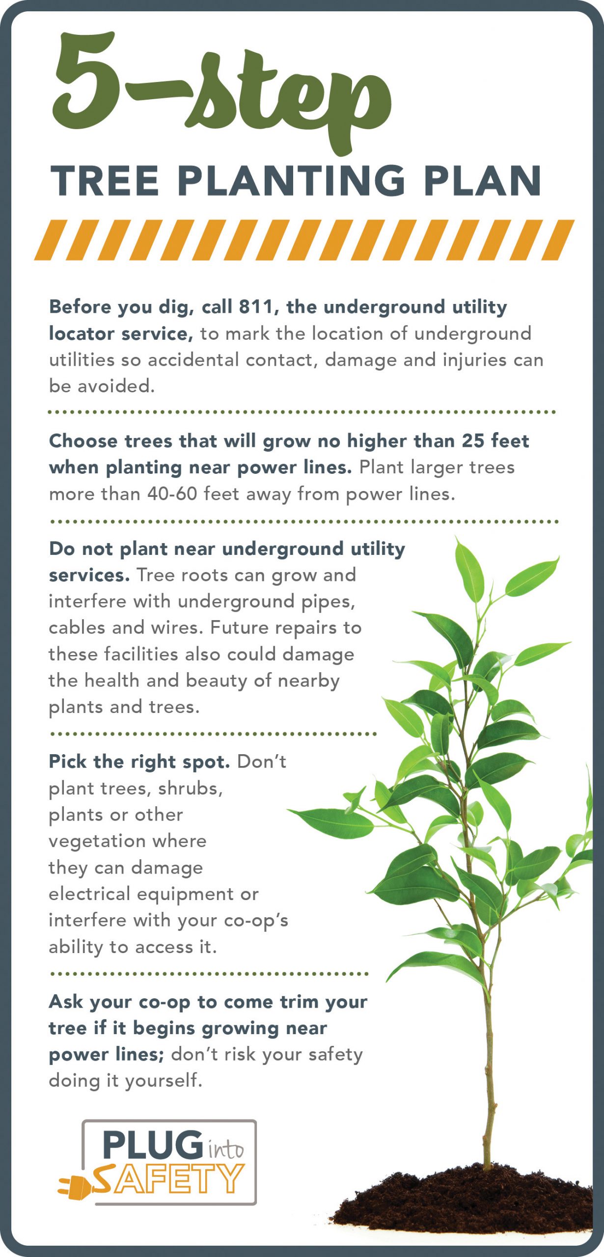 5step tree planting plan Indiana Connection