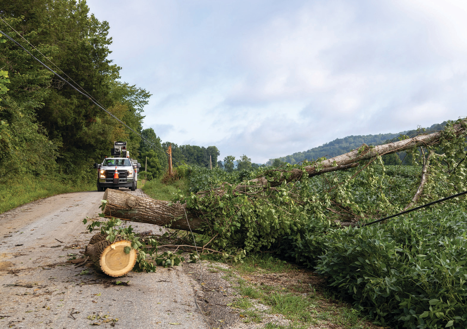 Downed power line courtesy of Orange County REMC