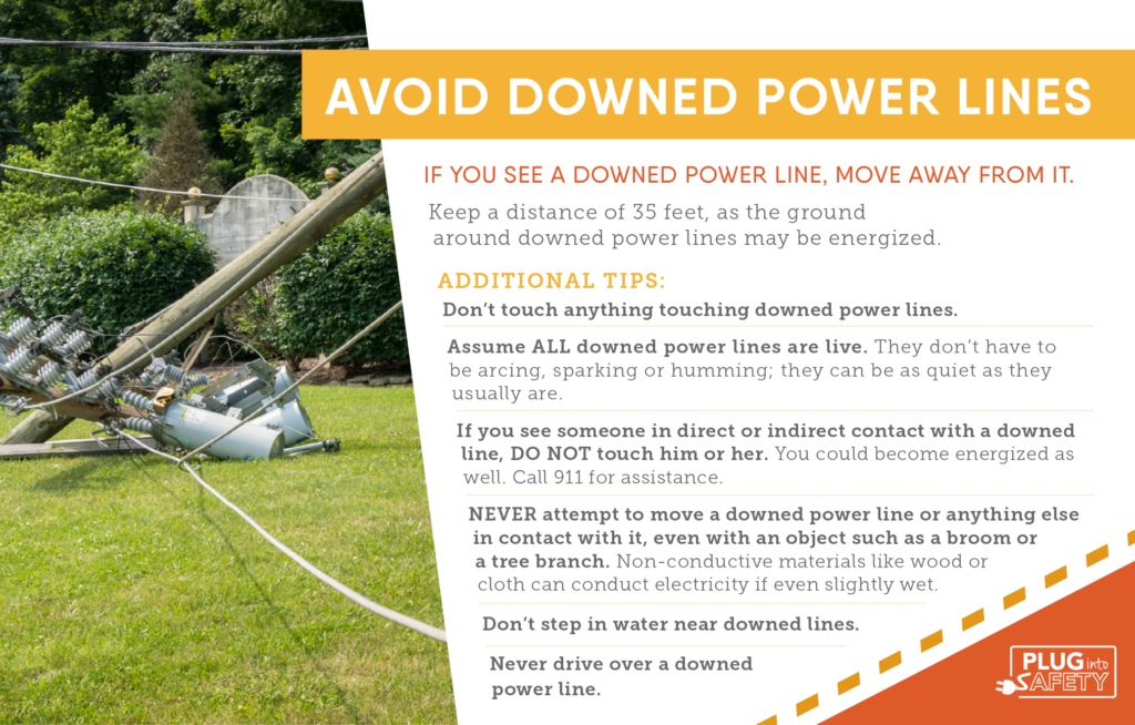 Avoid Downed Power Lines graphic