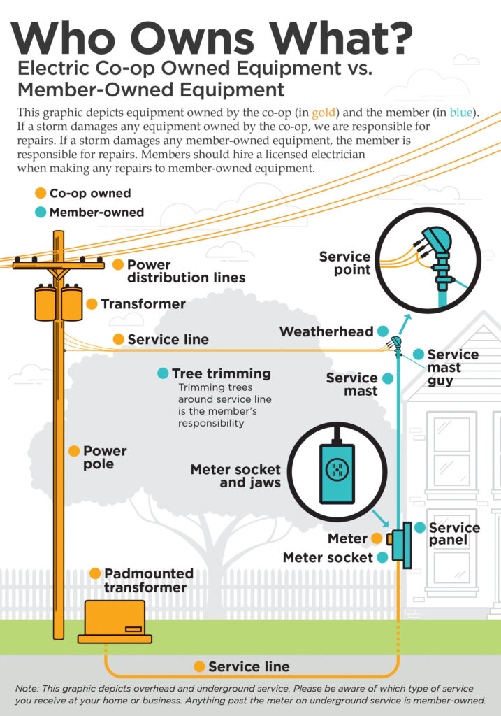 Who owns what infographic