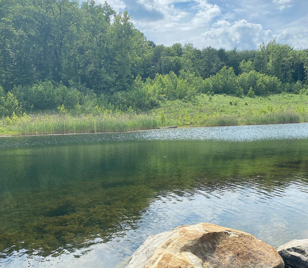 Greene-Sullivan State Forest