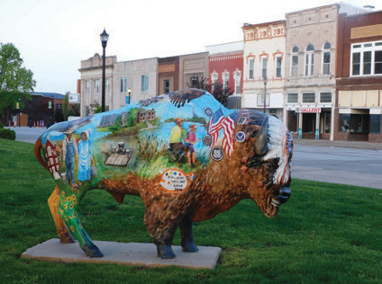 Sullivan County Buffalo