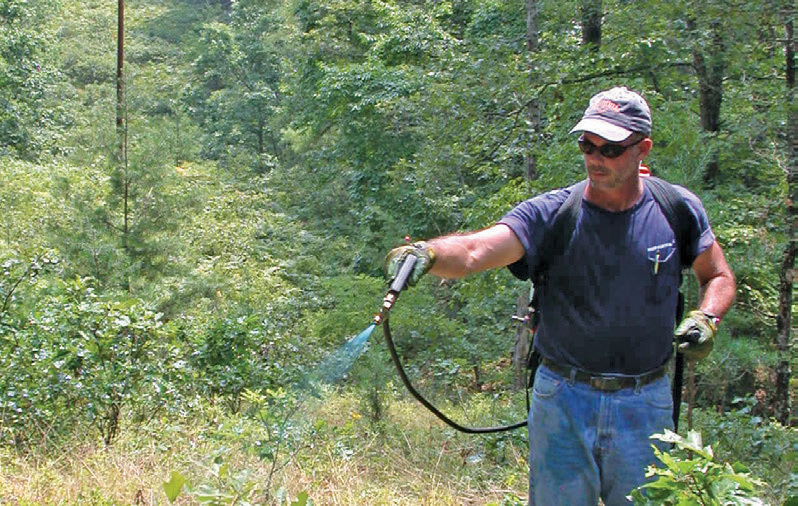 vegetation spraying