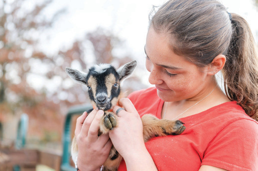 Goat Milk Stuff farm