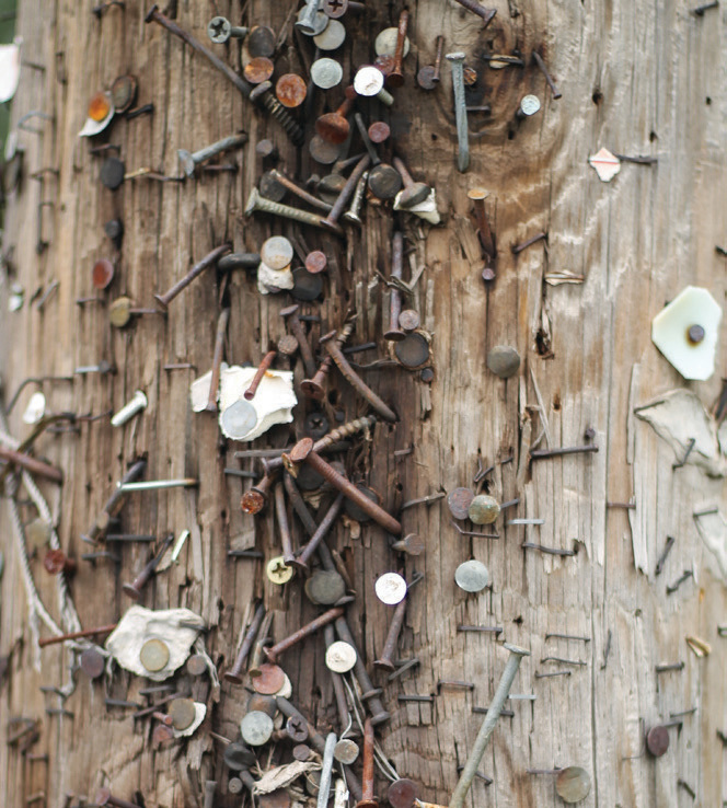 Utility pole with nails