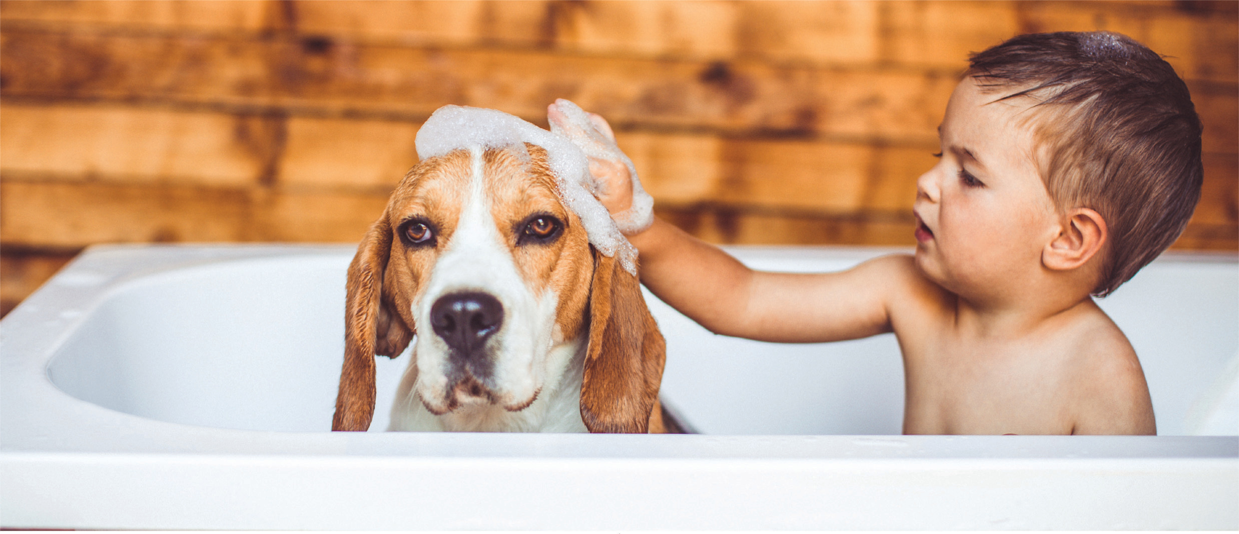 Boy with dog in bath