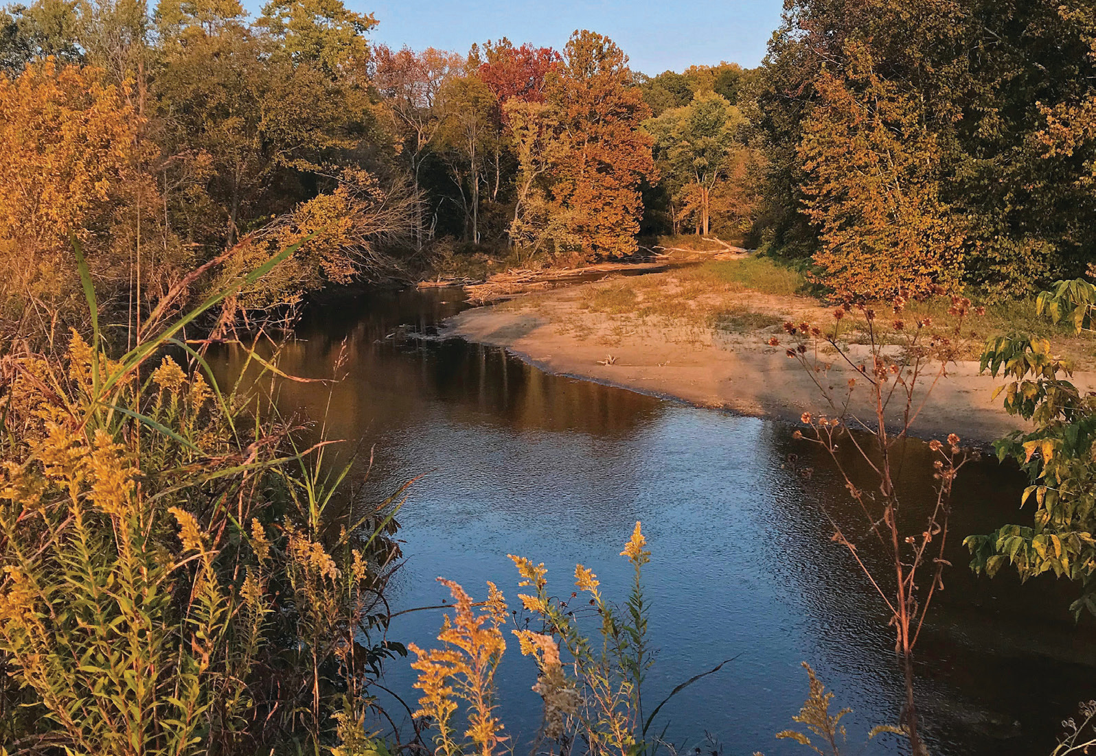 Fall scene