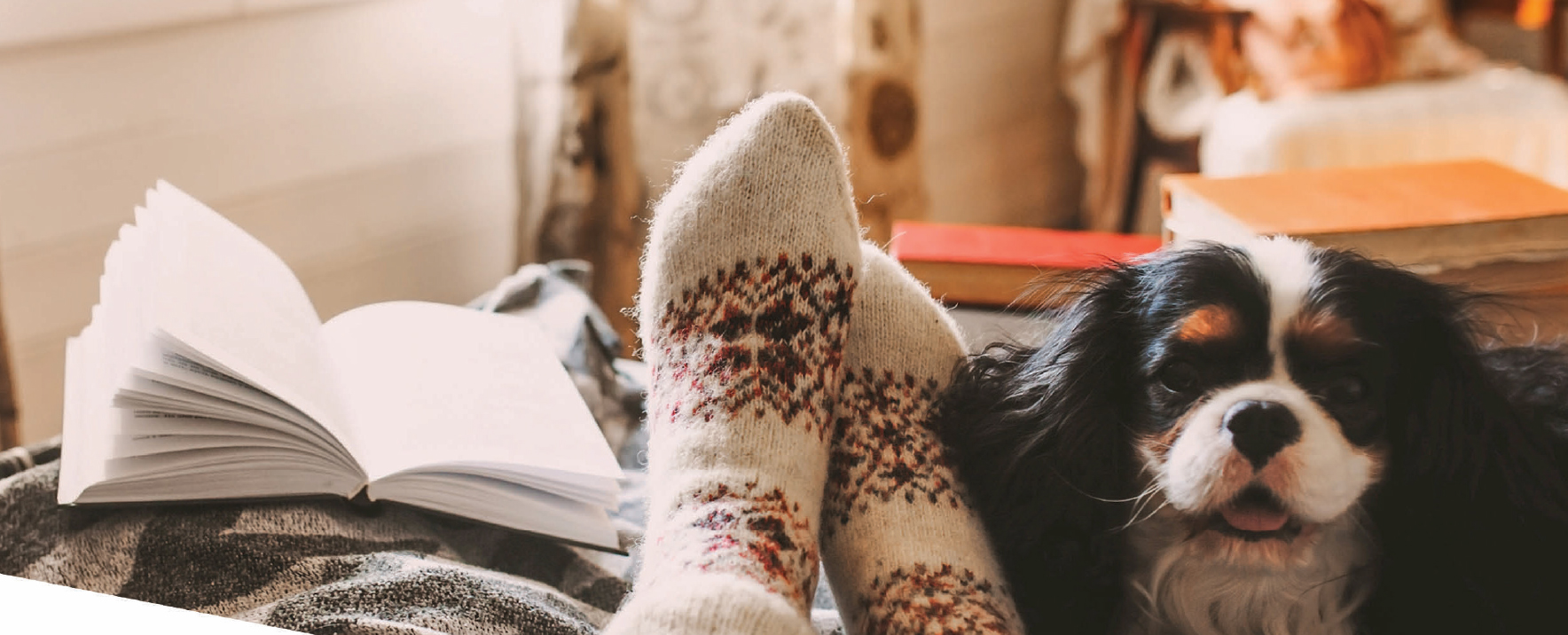 Person in winter socks with dog