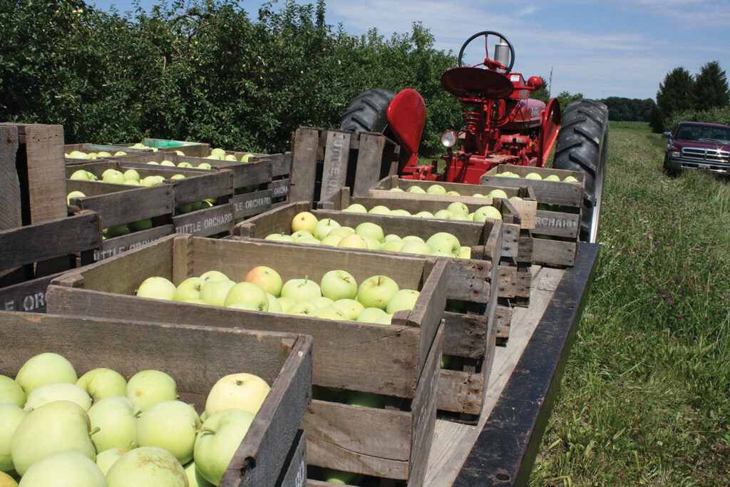 Tuttle Orchard